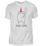 Aschgrau (Meliert)-1053