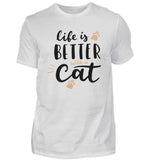 Aschgrau (Meliert)-1053