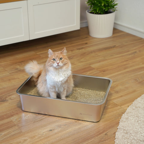 XXL Edelstahl Katzenklo Lotte