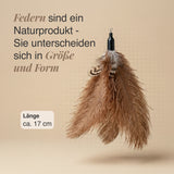 Katzenangel Ersatzfedern 5er Strauß