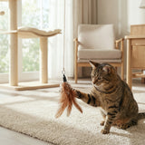 Katzenangel Ersatzfedern 5er Strauß