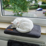 Fensterbankliege Katze grau