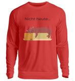 Fire Red-1565